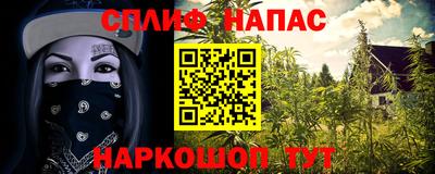 крисы Коммунар