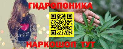 крисы Коммунар