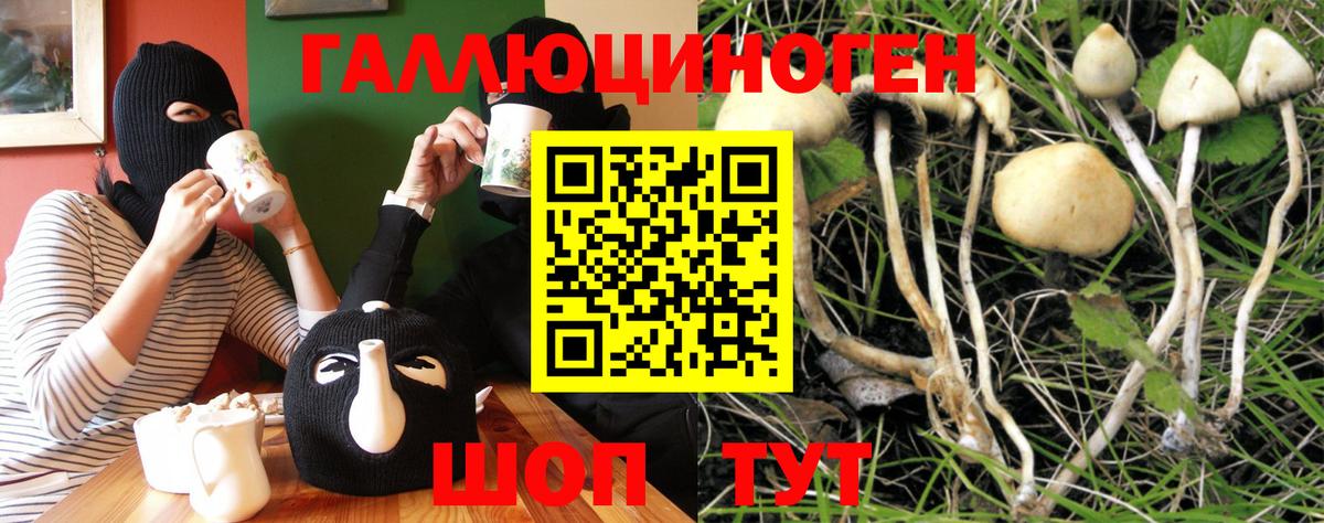 Галлюциногенные грибы Magic Shrooms Электрогорск