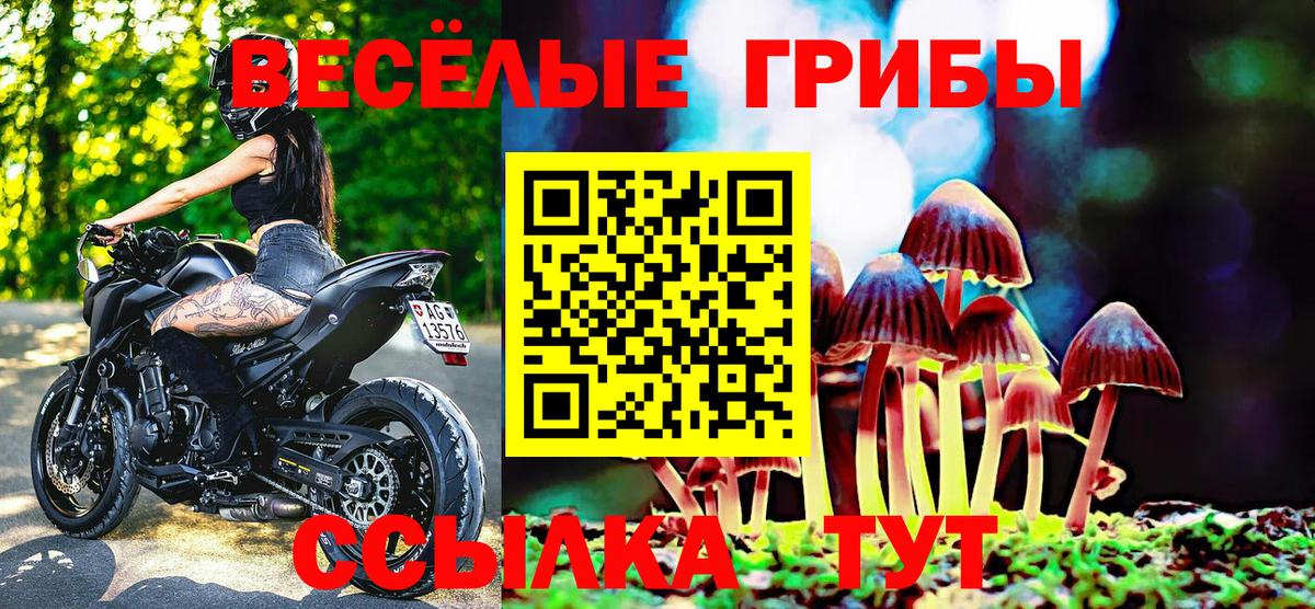где купить наркоту  Галлюциногенные грибы Psilocybe  Вход с VPN  Электрогорск 